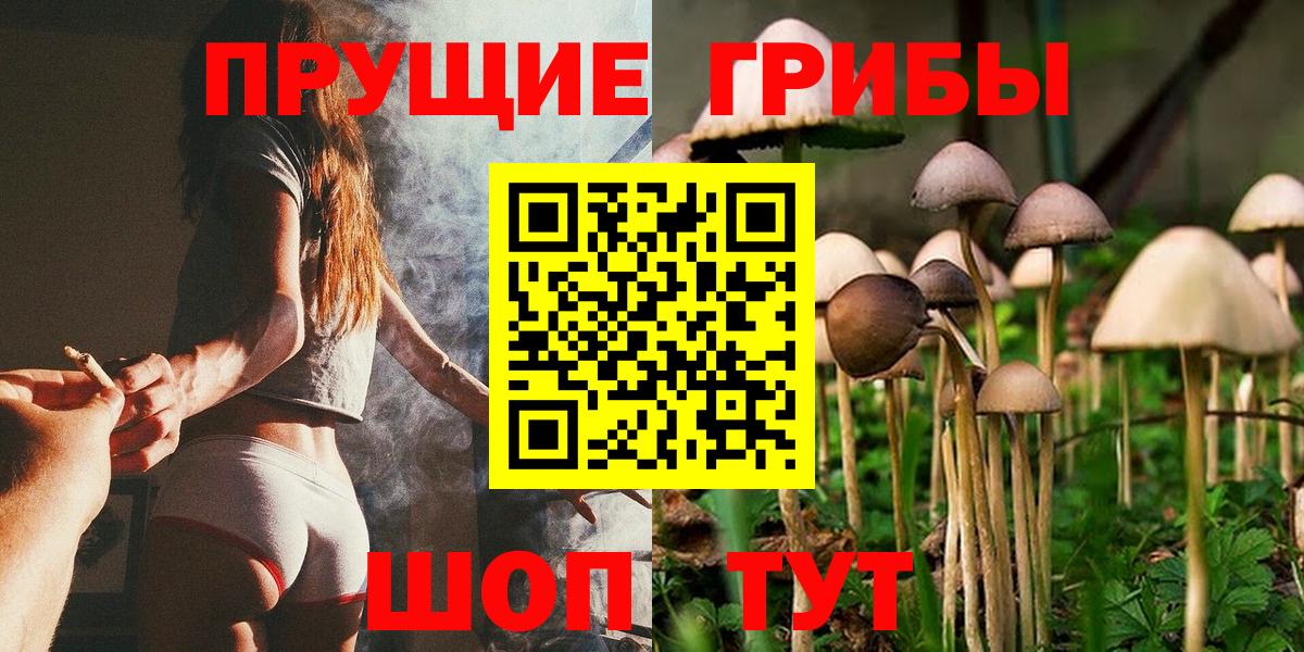 Псилоцибиновые грибы GOLDEN TEACHER Куйбышев