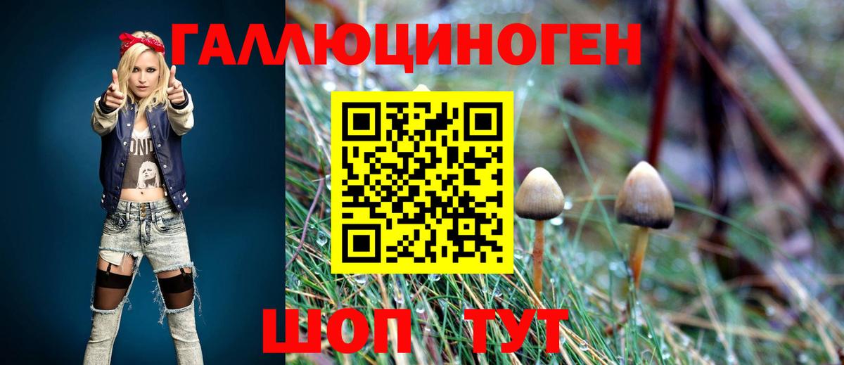 Псилоцибиновые грибы мухоморы  Вход с VPN  Куйбышев 