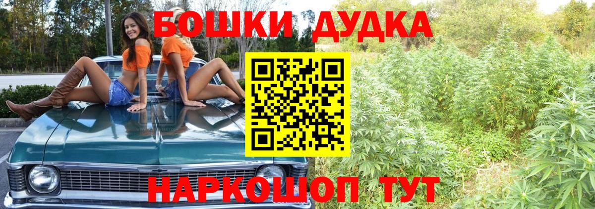 Каннабис индика Куйбышев